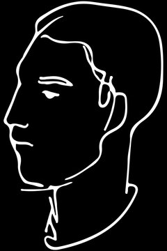 vector sketch of the face of a handsome young man