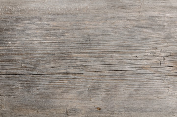 Texture old light wood with remnants of paint