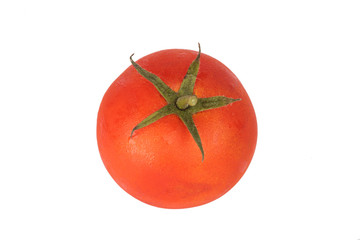 fresh tomato on white background