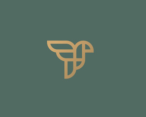 Abstract bird logo design. Creative eagle line symbol. Luxury linear falcon hawk logotype.