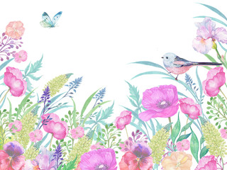 Fototapeta na wymiar floral background,watercolor, poppy, pink