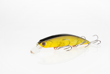 Fishing baits and gear for catching predatory fish, located on a white background
