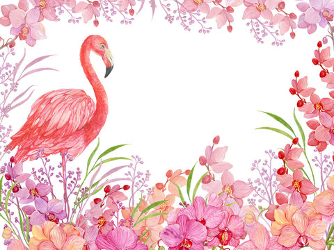 floral background bird pink Flamingo and Orchid
