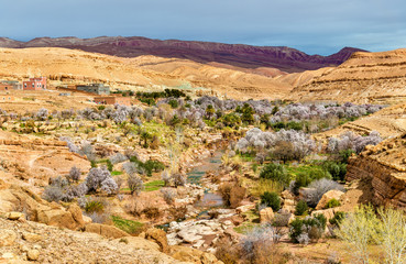 Fototapeta na wymiar Landscape of the Asif Ounila valley in the High Atlas Mountains, Morocco