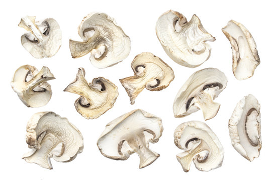Dry mushrooms isolated on white background
