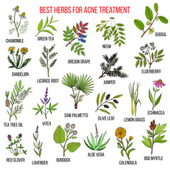 Collection of herbs for acne treatment