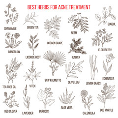 Collection of herbs for acne treatment - obrazy, fototapety, plakaty