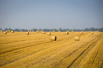 Rolls of haystacks on the field. Summer farm scenery with haystack on the Background of beautiful sunset. Agriculture Concept.Harvest concept