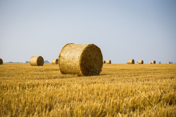 Rolls of haystacks on the field. Summer farm scenery with haystack on the Background of beautiful sunset. Agriculture Concept.Harvest concept