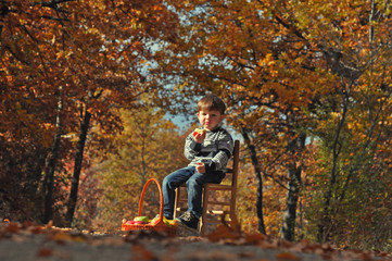 Happy little boy eating an apple in forest. Boy in nature. Kid eat organic apple