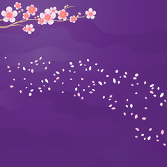 Fototapeta na wymiar Branch of Sakura and petals flying isolated on dark purple violet background. Apple-tree flowers. Cherry blossom. Vector 