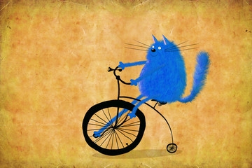 Blue Cat Riding High Wheel On Grey Background