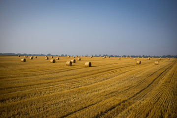 Fototapeta premium Rolls of haystacks on the field. Summer farm scenery with haystack on the Background of beautiful sunset. Agriculture Concept.Harvest concept