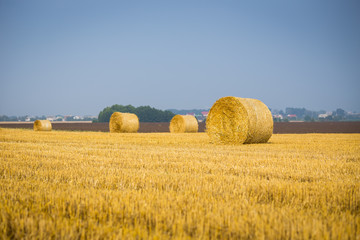 Fototapeta premium Rolls of haystacks on the field. Summer farm scenery with haystack on the Background of beautiful sunset. Agriculture Concept.Harvest concept