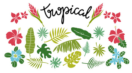 Tropical leaves, flowers set - 141220188