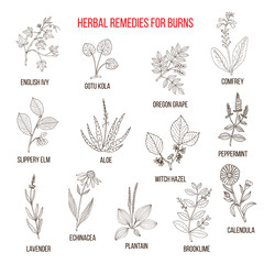 Collection of herbs for burns