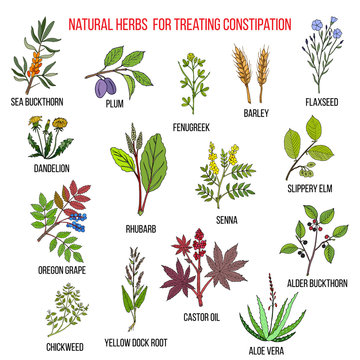 Best herbal remedies for treating constipation