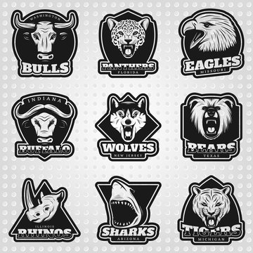 Vintage Team Sport Logos Collection
