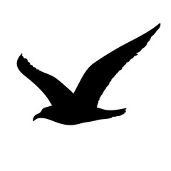 Naklejka premium Flying Seagull Silhouette Concept
