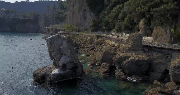 Lo Scoglio della Cadrega, pino marittimo albero, vista aerea, Lungomare tra Santa Margherita Ligure e Portofino, Paraggi, Liguria, Italia
