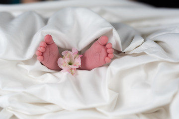 Fototapeta na wymiar Happy newborn feet