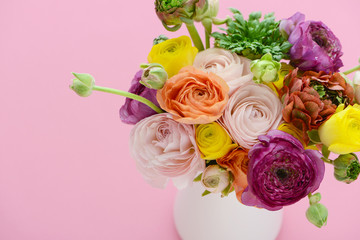 ラナンキュラス　ピンク背景