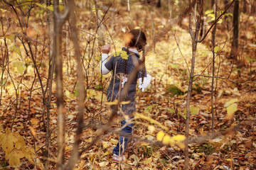 baby girl autumn in the forest