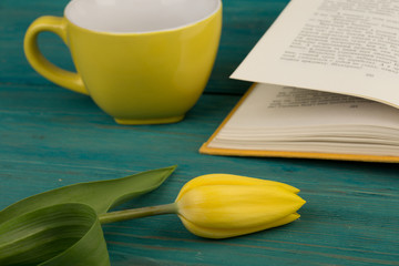 Fototapeta na wymiar Flower tulip, cup and book