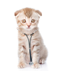 Cat with a stethoscope on his neck. looking at camera. isolated on white background
