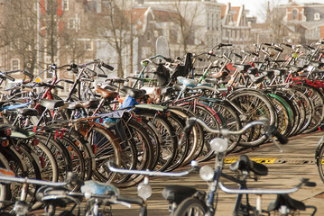 Bicycles in Amsterdam