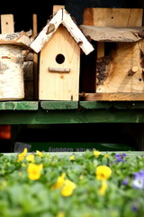 
Bird house