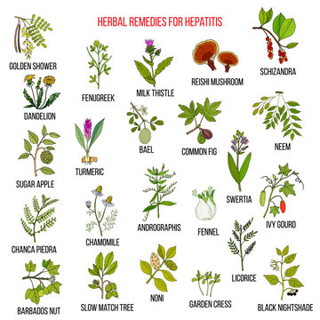 Best herbal remedies for hepatitis