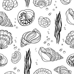 Hand drawn seashells seamless pattern on white background