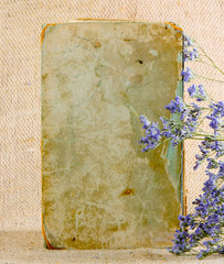 An old shabby book in the background of the canvas. Retro image with dry lilac flowers. Vintage...