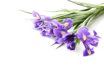 Papier Peint photo Autocollant Iris Bouquet de fleurs d& 39 iris isolé sur fond blanc