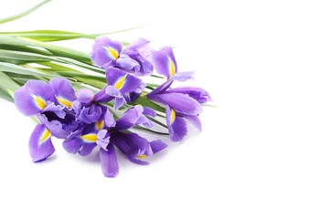 Crédence de cuisine en verre imprimé Iris Bouquet de fleurs d& 39 iris isolé sur fond blanc