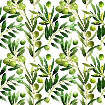 Olive tree pattern in a watercolor style isolated.