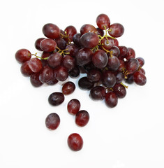Ast Weintrauben rot blau - Einzelne Trauben - Hintergrund weiß freigestellt - Background isolated