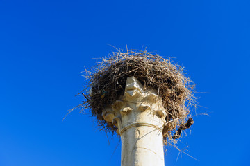Nest of storks on pillar. Roman ruins, ancient Roman city of Volubilis. Morocco