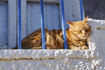 Enjoying the Andalusian sun
