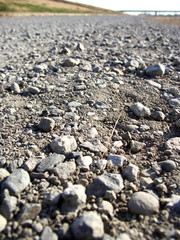 江戸川河川敷の道