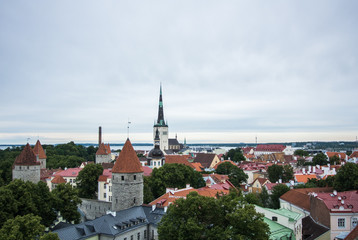 Fototapeta premium Panoramic view over the roofs of Old Town of Tallinn, Estonia.