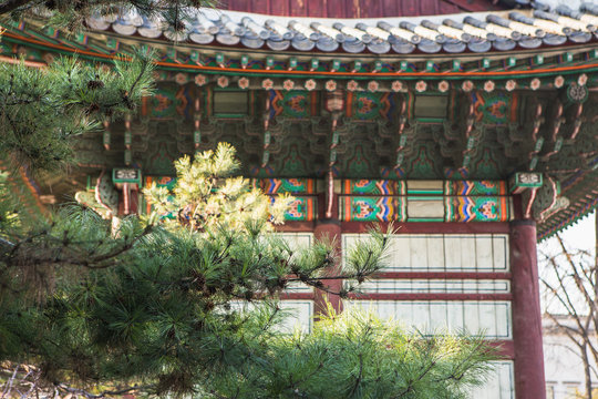 Ancient palace architecture of South Korea