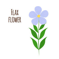 Flax flower, seeds. Vegetarian food, natural linen. Cartoon flat style.