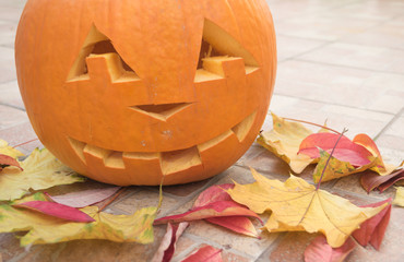 Halloween pumpkin, autumn colored leaves