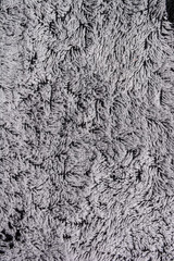Domestic carpet texture