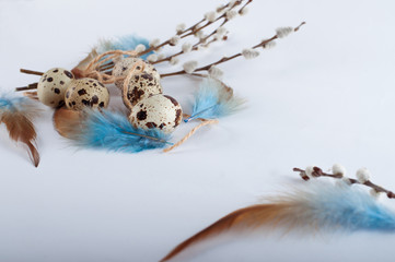 Easter quail eggs on white background