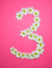 Number three formed by white Gerberas flowers