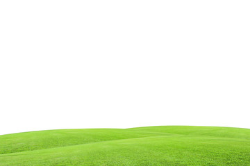 Green grass field on white background.