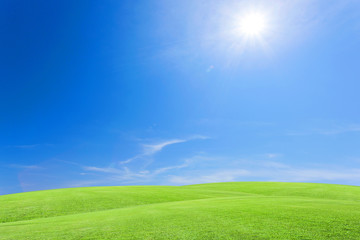 Green grass field with blue sky white cloud background.